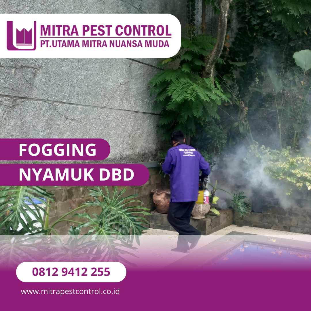 Jasa Fogging Nyamuk di Lampung Spesialis DBD