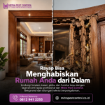 Jasa Anti Rayap Depok