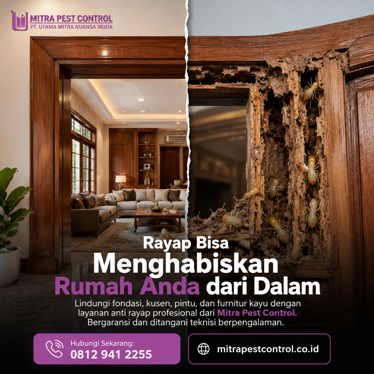 Jasa Anti Rayap Depok